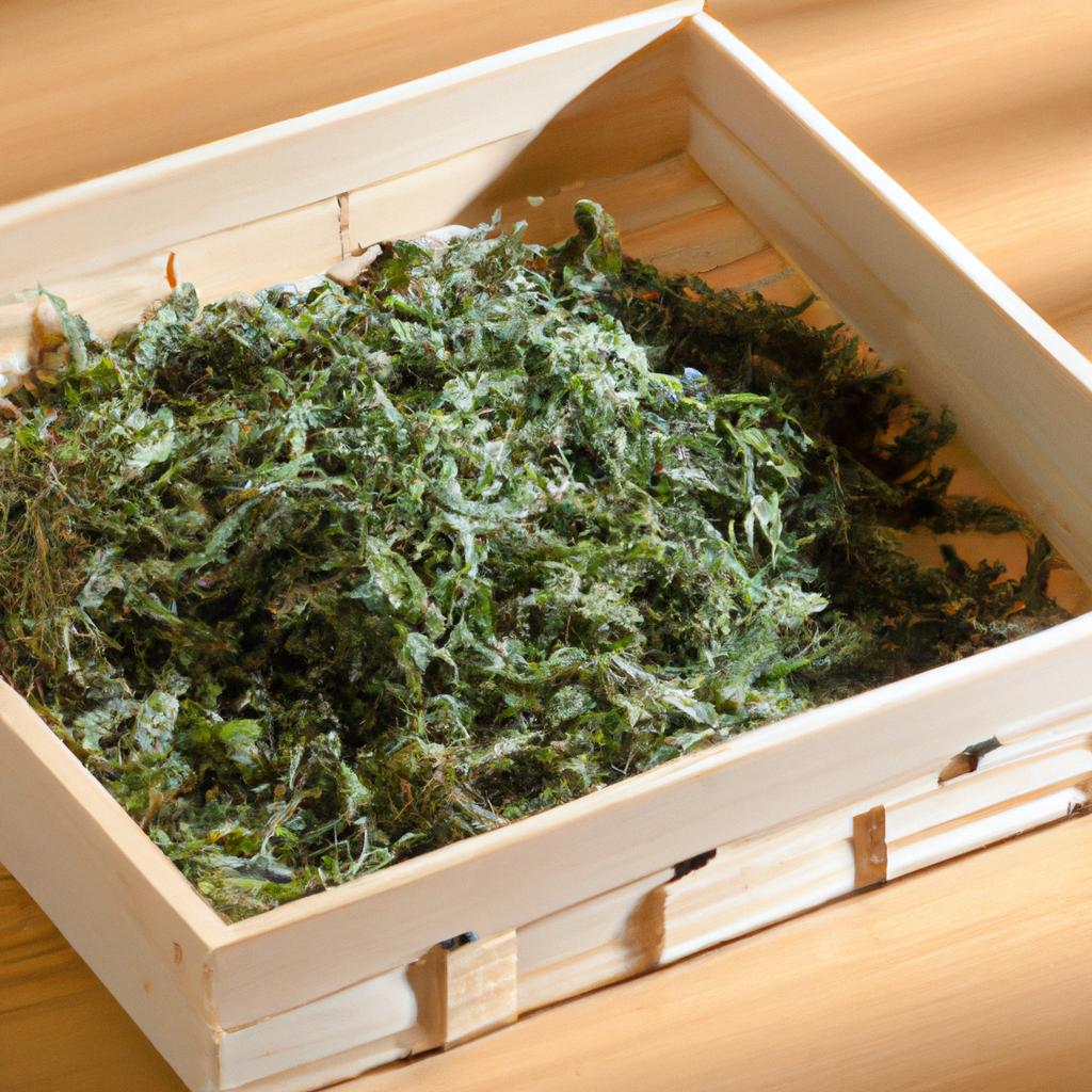 5. よもぎ蒸しとデトックス