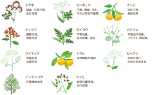 妊活とデトックスの重要性